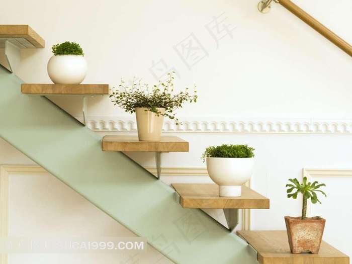 唯美盆景素材图片