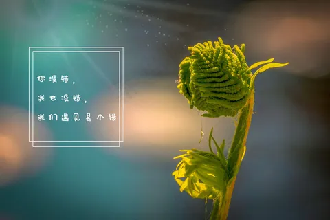 伤感爱情文字语录图片 伤感爱情文字语录图片