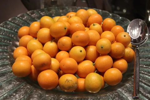 橙子高清图片下载 橙子高清图片下载