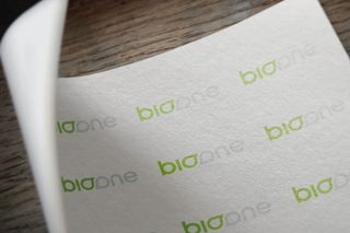 LOGO展示效果样机