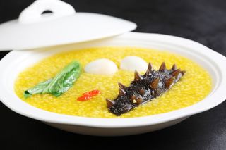 GY00083小米煨辽参 (3)