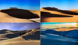 沙漠高清企业文化