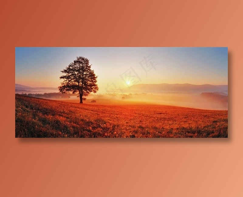 黄昏中的大树自然风景高清图片