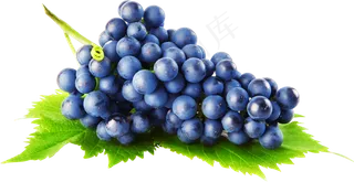 葡萄免抠素材 (57)