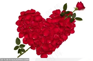 玫瑰花瓣组成的心形图片