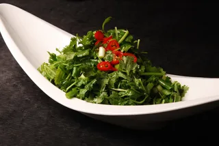 LCSC2445陕南香菜拌小葱28