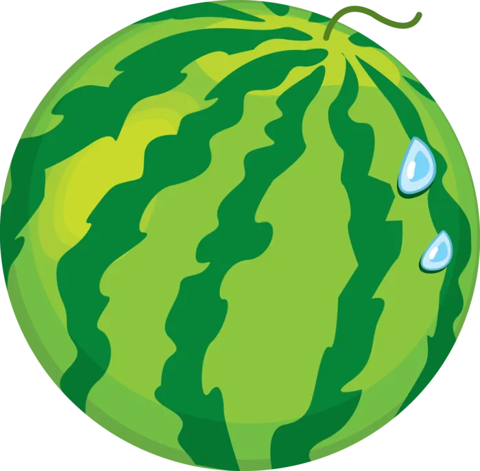 夏日西瓜素材
