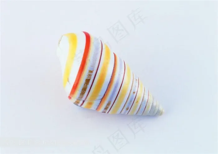 海洋贝壳海螺高清摄影图片