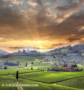 法国葡萄庄园图片