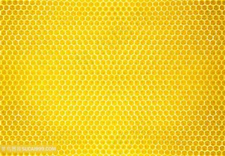 美味的蜂巢高清图片