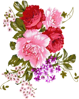 牡丹花国画素材卡通谷雨春季素材