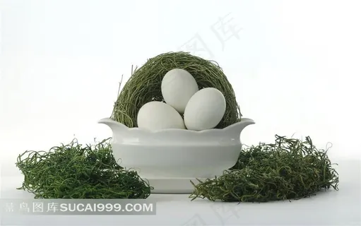 碟子鸡蛋鸟窝图片