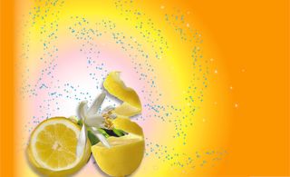 柠檬橘黄渐变背景图片