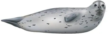 斑海豹 PNG免抠(460x146)