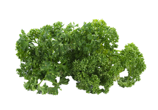 西洋菜 (2)超市商品白底图免抠实物摄影png格式图片透明底