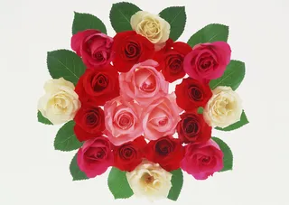 花团锦簇绿叶多色花