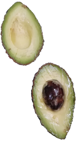 鳄梨牛油果免抠实物实拍摄影元素素材