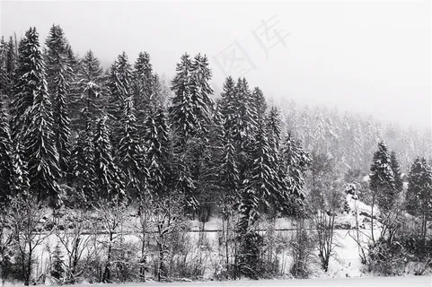 冬季雪山景观黑白图片 冬季雪山景观黑白图片