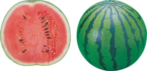 西瓜 PNG免抠(3169x1545)