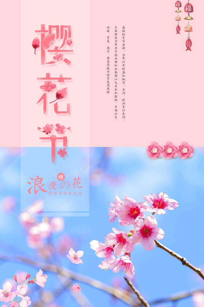 樱花节 樱花节海报模板