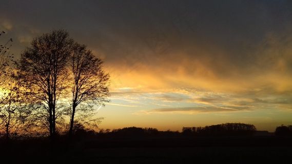 黄昏天空树木剪影图片