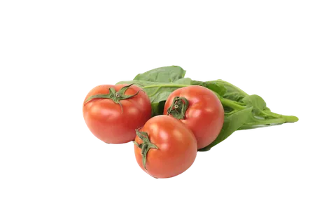 西红柿 (12)超市商品白底图免抠实物摄影png格式图片透明底