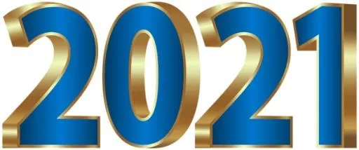 2021 年 PNG免抠(600x251)