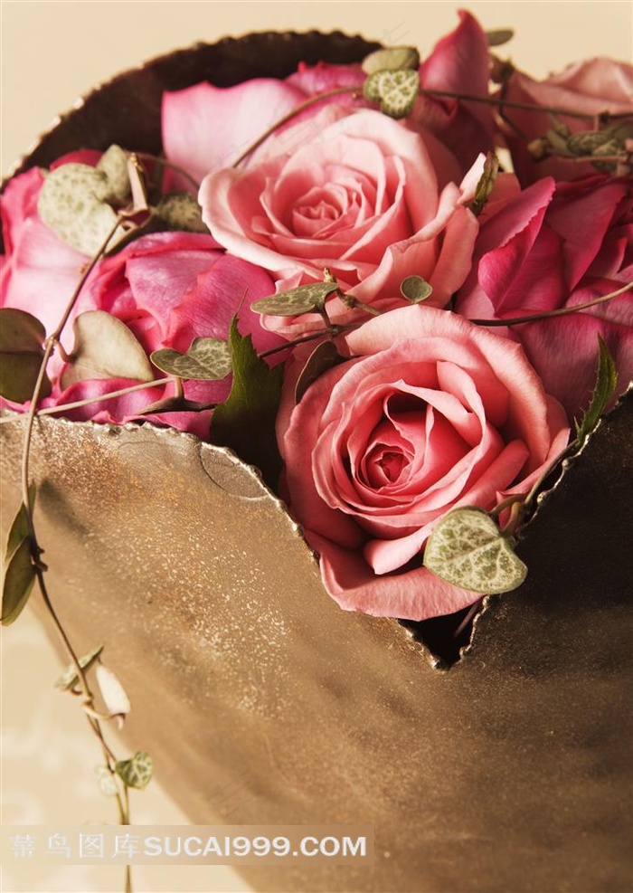 纸袋里的玫瑰花