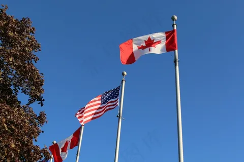 蓝天下飘扬旗帜图片