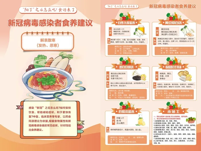 橙色阳了怎么吃食养建议海报cdr矢量模版下载