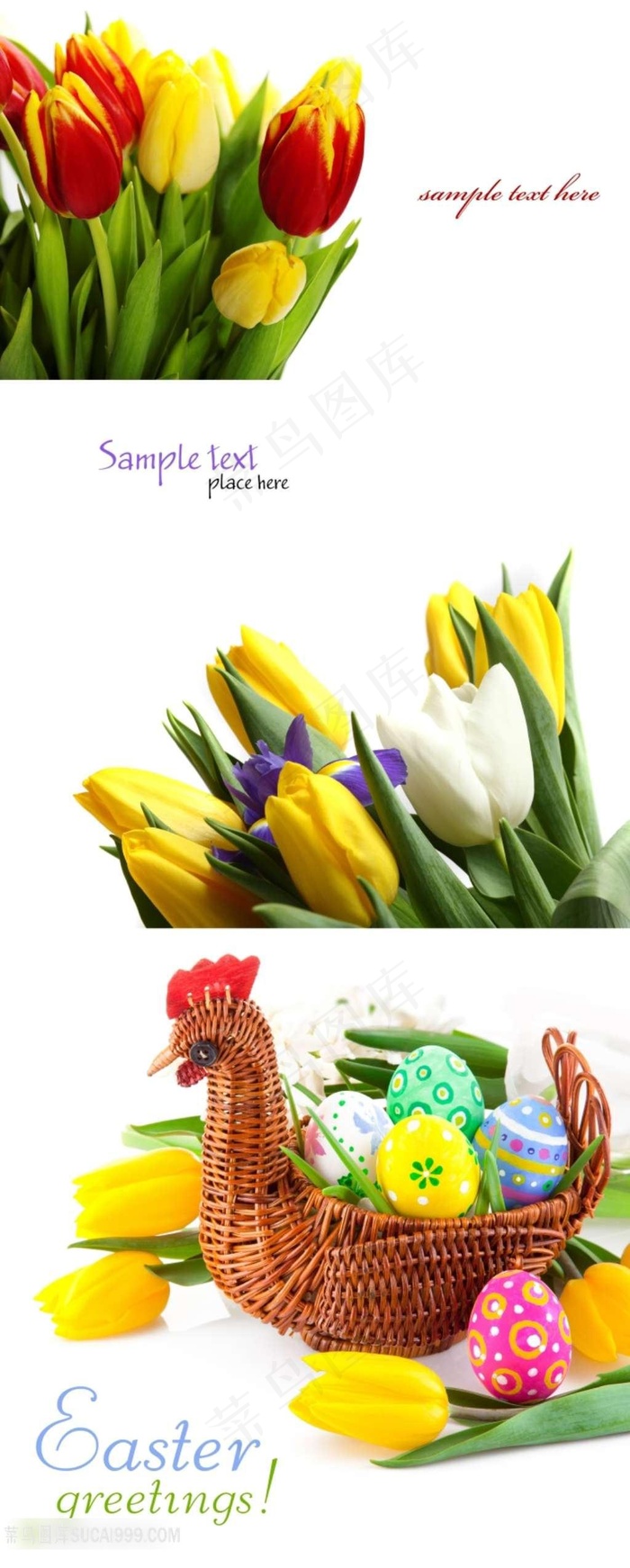 漂亮的郁金香鲜花彩蛋鸡篮子摄影素材