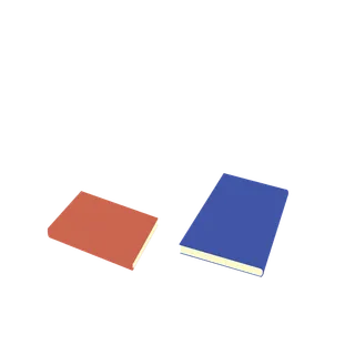 两本地上放的书