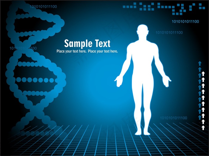 人体及DNA