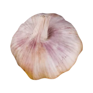 大蒜食物免抠素材