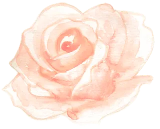 唯美森系手绘水彩花朵 免抠