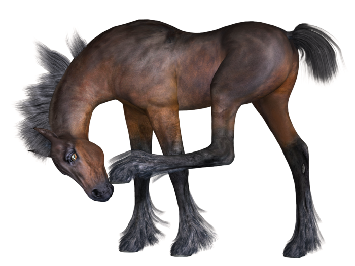 马动物免扣素材透明背景野马