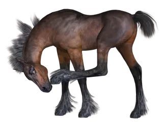 马动物免扣素材透明背景野马