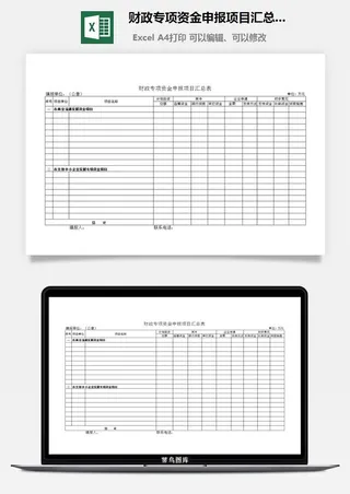 财政专项资金申报项目汇总表excel模板