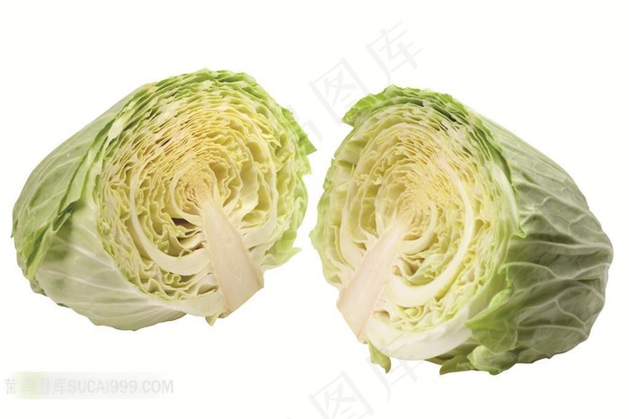 切开的大白菜高清素材