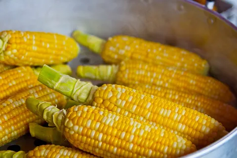 玉米棒图片 玉米棒图片