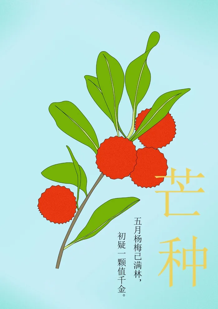 杨梅芒种海报蓝底背景图psd模版下载