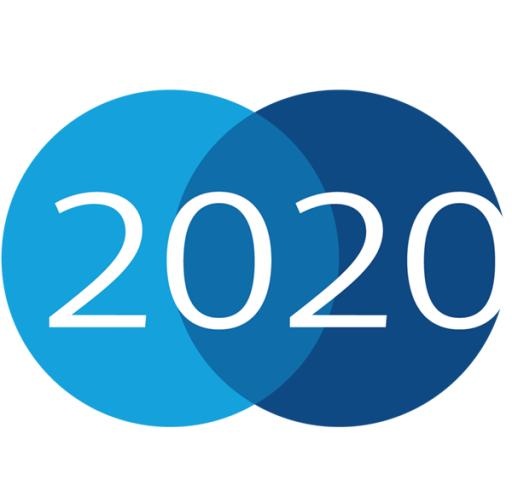 2020年PNG免抠(600x583)
