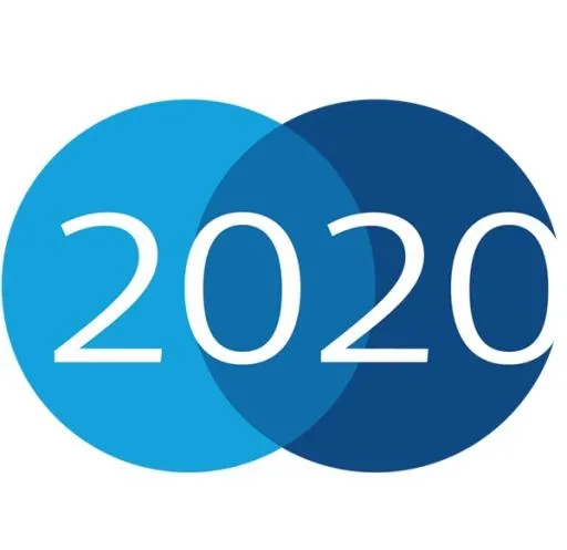 2020年PNG免抠(600x583)