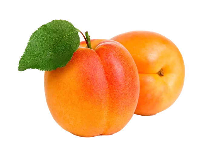 杏 (12)水果超市商品白底图免抠实物摄影png格式图片透明底