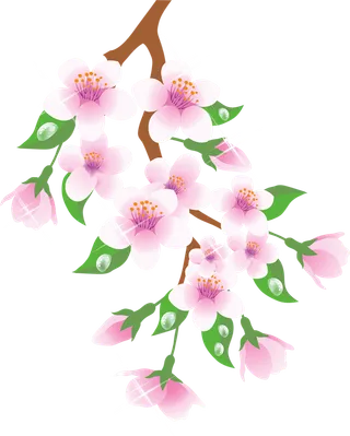 粉色花朵卡通素材春季谷雨