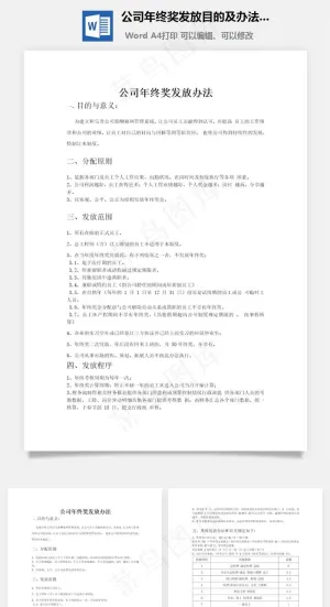 公司年终奖发放目的及办法word文档