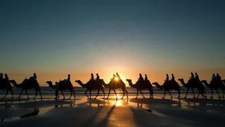 夕阳余晖下的沙漠驼队