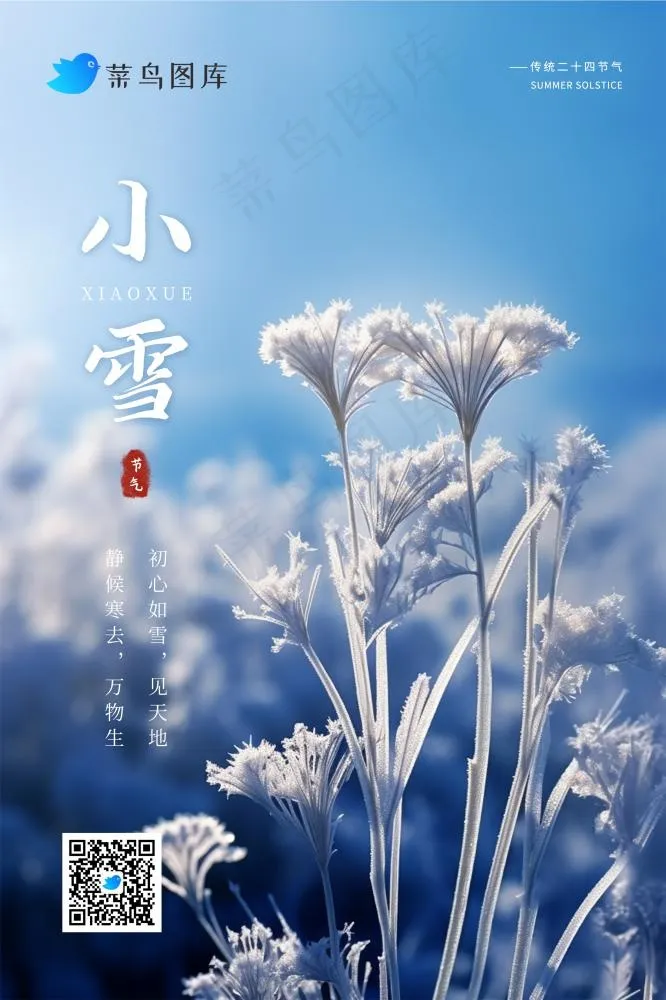 小雪冬季蓝色简约冰冷枝叶节气海报(2362x3543)psd模版下载