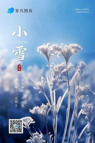 小雪冬季蓝色简约冰冷枝叶节气海报