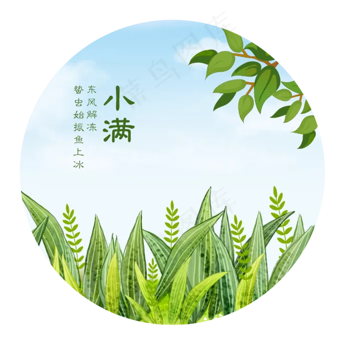 小满节气免抠图片 